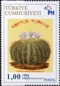 Stamp, Cacti, Personalized and Private Mail Stamps,  , Cacti, Plants (Flora)