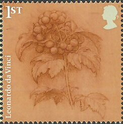 Stamp, Guelder Rose, United Kingdom of Great Britain & Northern Ireland,  , Art, Flowers, Roses