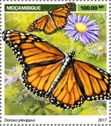 Danaus plexippus