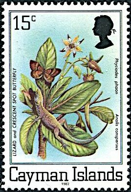 Stamp, Phaon Crescent (Phyciodes phaon), Grand Cayman Anole (Anolis, Cayman Islands,  , Animals (Fauna), Butterflies, Insects, Lizards, Reptiles