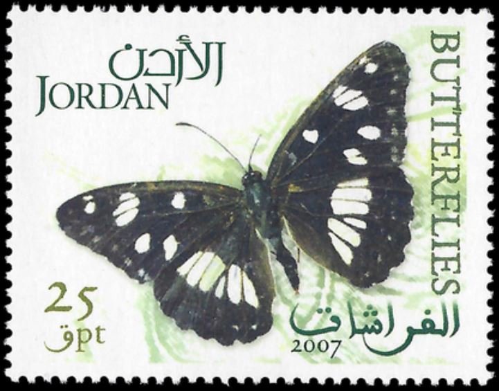 Butterfile