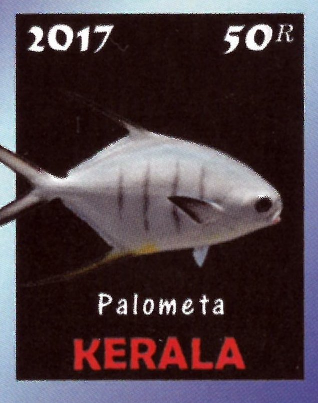 Palometa