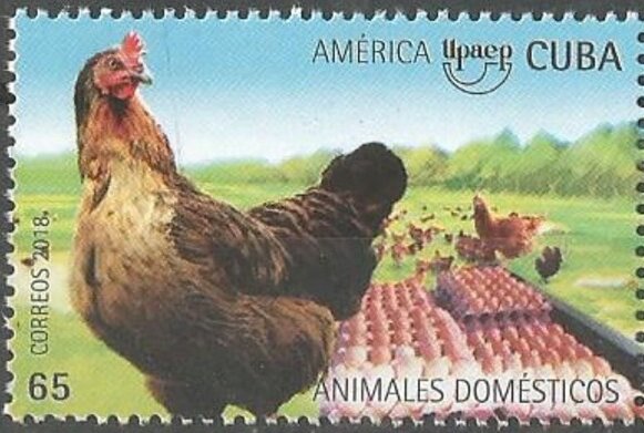 Hen