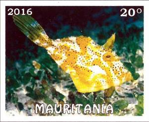 Stamp, Tropical fish, Cinderellas,  , Animals (Fauna), Fishes
