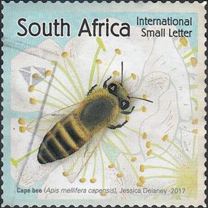 Stamp, Cape Honey Bee (Apis mellifera capensis), South Africa,  , Animals (Fauna), Bees, Insects