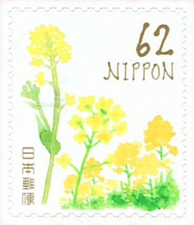 Rapeseed