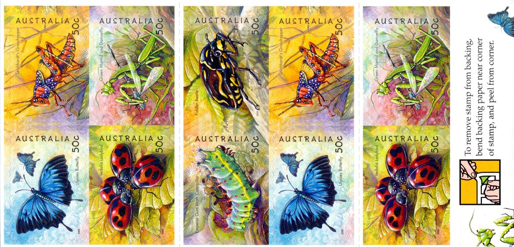 Bugs and Butterflies