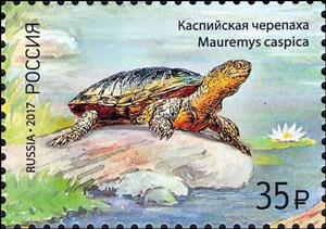Stamp, Mauremus caspica, Russia,  , Animals (Fauna), Turtles