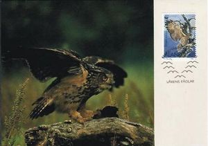 Maxi Cards, Eurasian Eagle-Owl (Bubo bubo), Åland Islands,  , Birds, WWF, Birds of Prey, Owls, Animals (Fauna)