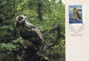 Maxi Cards, Eurasian Eagle-Owl (Bubo bubo), Åland Islands,  , Birds, WWF, Birds of Prey, Owls, Animals (Fauna)