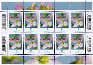 Mini Sheet, Milkmaids (Cardamine pratensis), Germany, Federal Republic,  , Flowers, Plants (Flora)