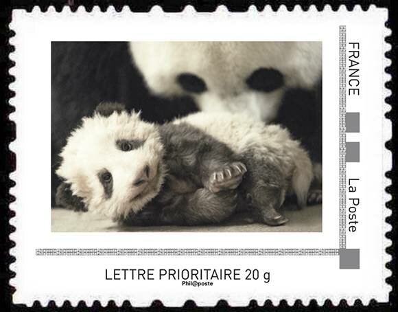Yuan Meng le Panda de Beauval