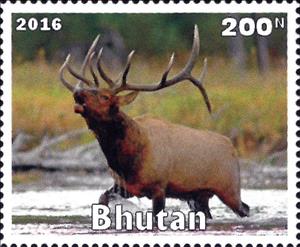 Stamp, Wild Animals, Cinderellas,  , Animals (Fauna), Deer, Mammals