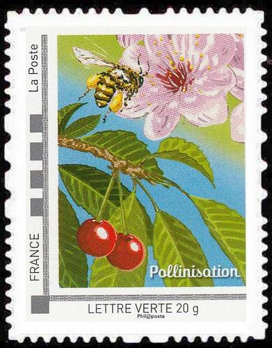 The bees that's life Pollinisation