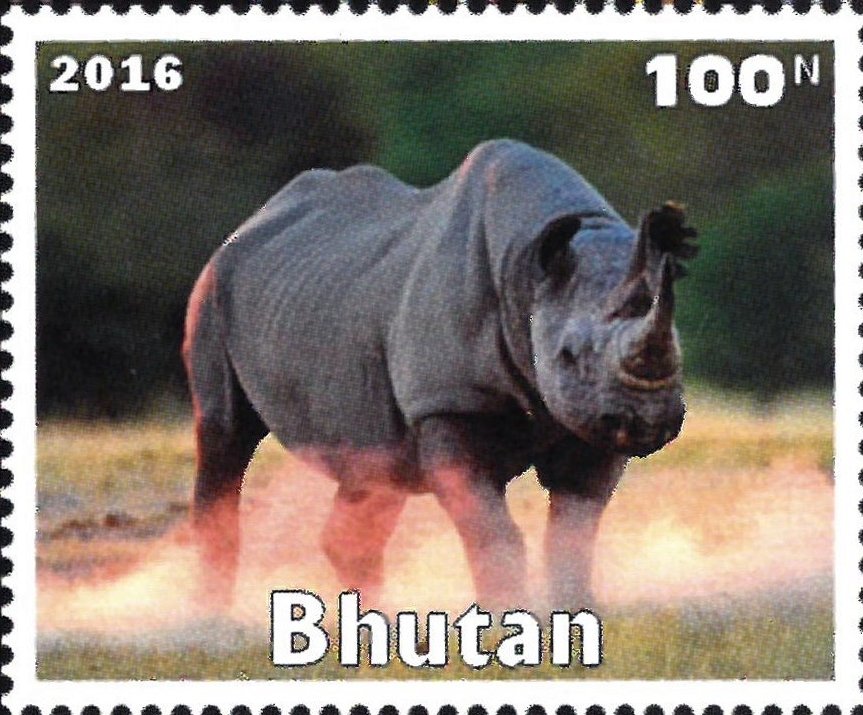 African Animals