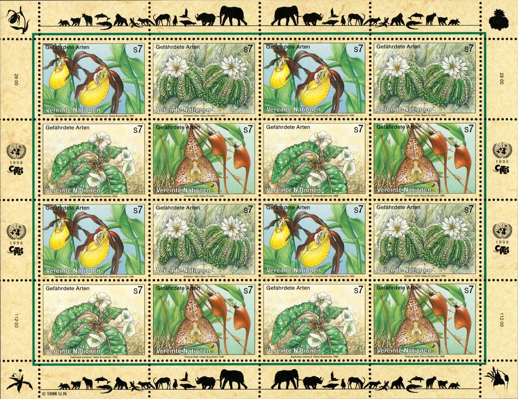 Endangered Species (IV)