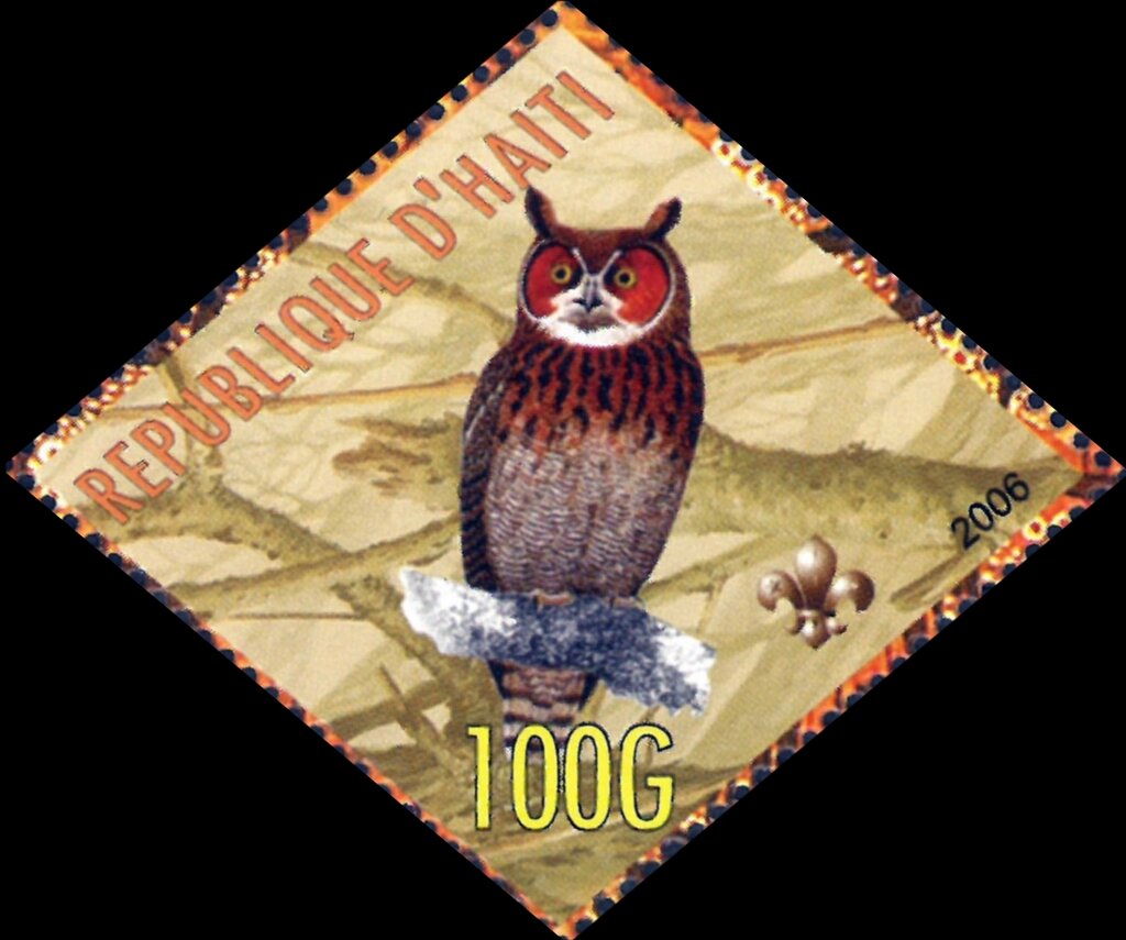Owl