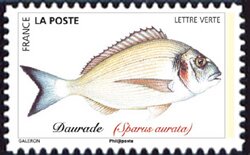 Bream