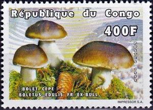 Stamp, Boletus edulis, Congo, Republic (Brazzaville),  , Mushrooms