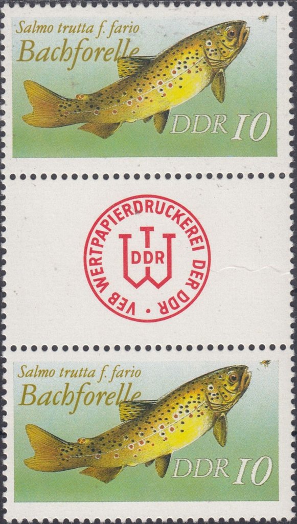 Süßwasserfische