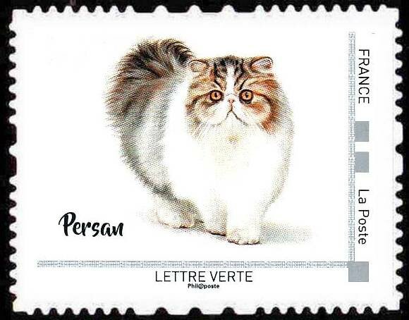 Persan