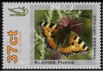 Vanessa urticae