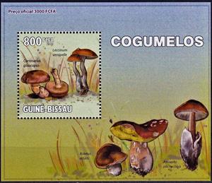 Mini Sheet, Cortinarius glaucopus/Leccinum versipelle, Cinderellas,  , Mushrooms