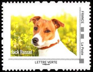 Stamp, Jack Russel, France,  , Animals (Fauna), Dogs, Mammals