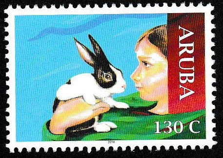 Rabbit