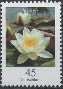 Stamp, Nymphaea alba - White Waterlily, Germany, Federal Republic,  , Flowers, Plants (Flora)