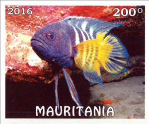Stamp, Tropical fish, Cinderellas,  , Animals (Fauna), Fishes
