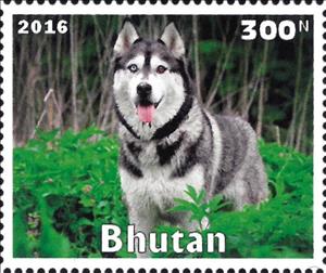 Stamp, Dog, Cinderellas,  , Animals (Fauna), Dogs, Mammals