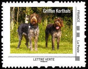 Stamp, Griffon Korthals, France,  , Animals (Fauna), Dogs, Mammals