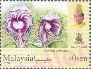 Orchids of Malaysia