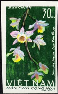 Stamp, Dendrobium hybridae, Vietnam,  , Flowers, Orchids, Plants (Flora)