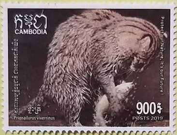 Stamp, Fishing Cat (Prionailurus viverrinus), Cambodia,  , Animals (Fauna), Cats, Mammals