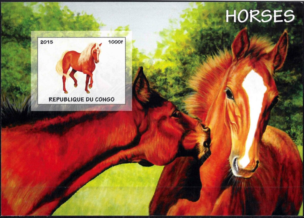 Horses