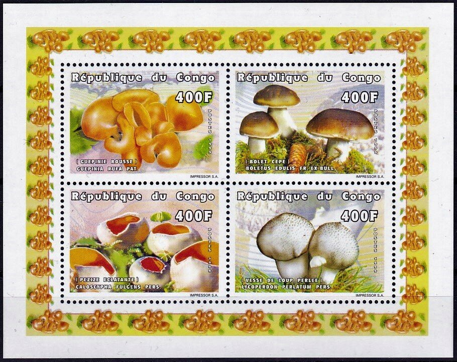 Various Mushrooms