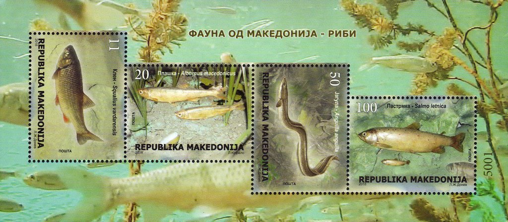 River Life of Macedonia