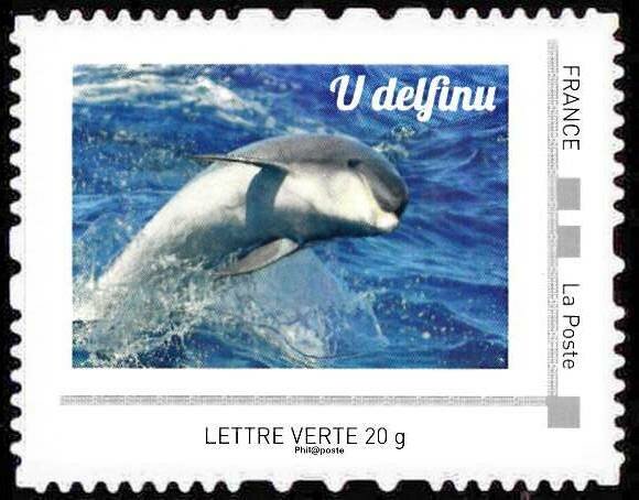 U Delfinu