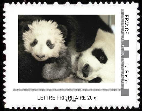 Yuan Meng le Panda de Beauval