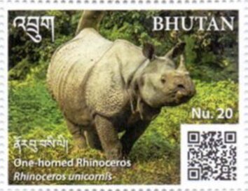 One-Horned Rhinoceros