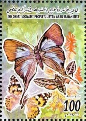 Butterflies