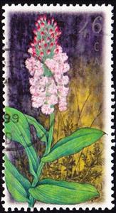Stamp, Platanthera psycodes, Canada,  , Conferences, Flowers, Orchids, Plants (Flora)