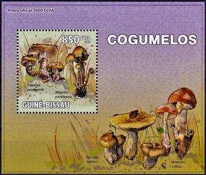 Mini Sheet, Amanita pantherina/Hypholoma fasciculare, Cinderellas,  , Mushrooms