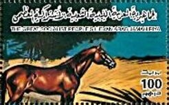 Horses
