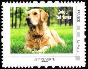 Stamp, Golden Retriever, France,  , Animals (Fauna), Dogs