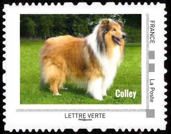 Colley