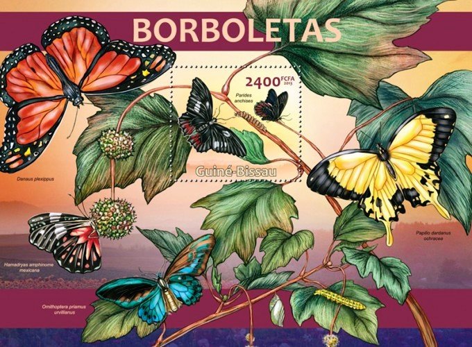 Butterflies