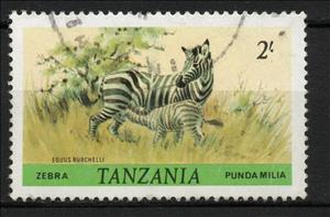 Stamp, Burchell's Zebra (Equus burchelli), Tanzania,  , Animals (Fauna), Mammals, Zebras